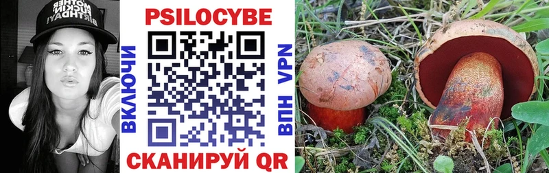 Галлюциногенные грибы мицелий  Купить где  Холмск 