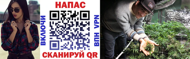 Купить  Холмск  Марихуана сатива 
